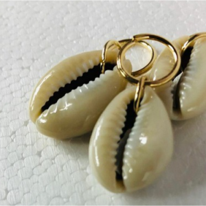 Cowry and Non-cowry